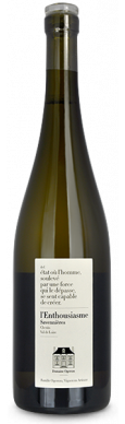 Domaine OGEREAU, Anjou Blanc "BONNES BLANCHES" 2020